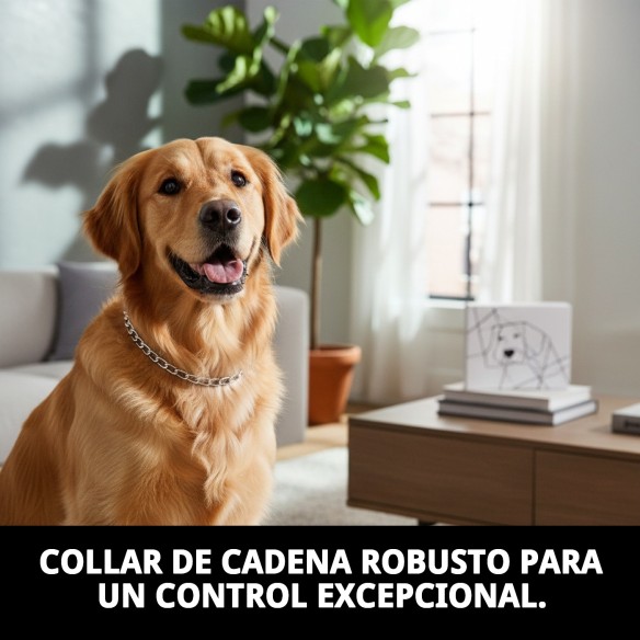 Collar de Cadena para Perros - 70cm x 4mm Resistente