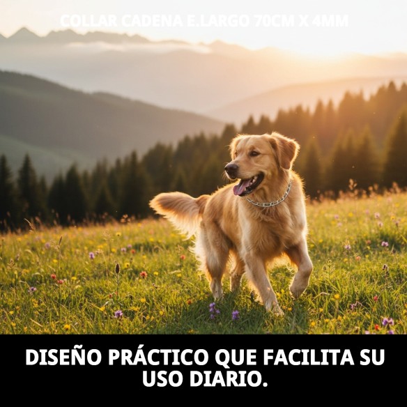 Collar de Cadena para Perros - 70cm x 4mm Resistente
