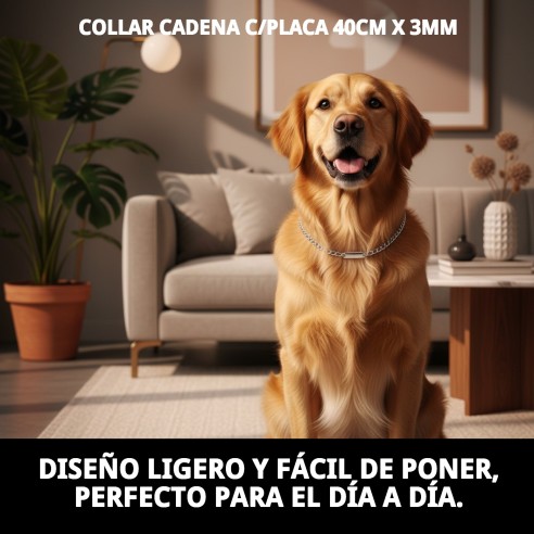 Collar Cadena con Placa 40cm x 3mm para Mascotas