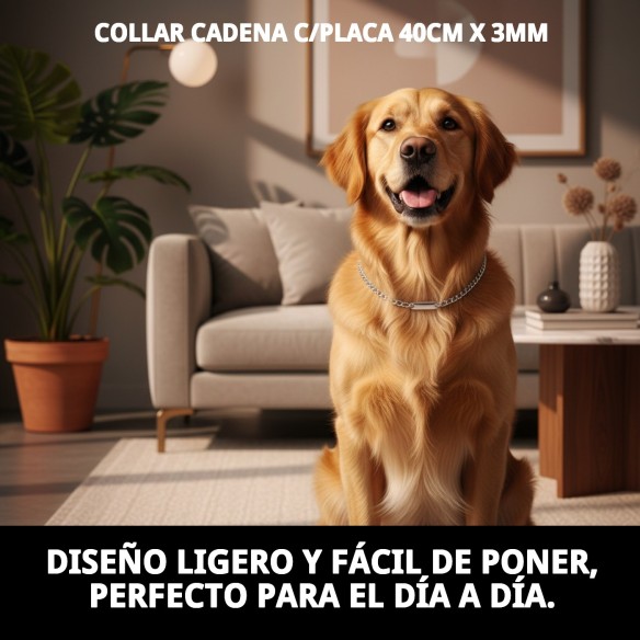 Collar Cadena con Placa 40cm x 3mm para Mascotas