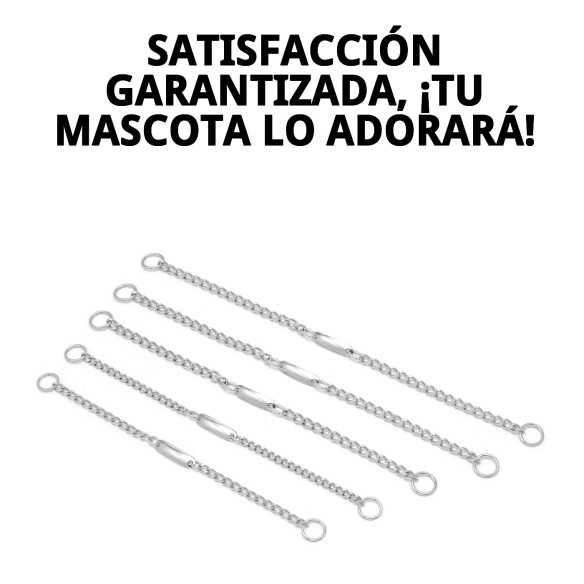 Collar Cadena con Placa 40cm x 3mm para Mascotas