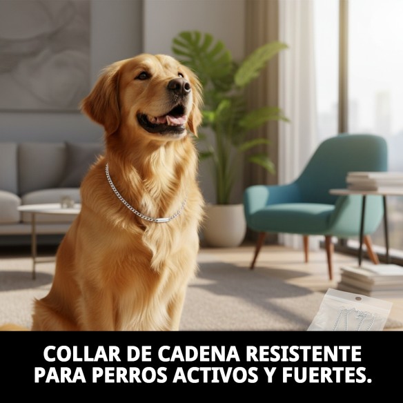 Collar Cadena con Placa 45cm x 3mm para tu Mascota
