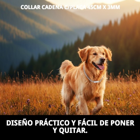 Collar Cadena con Placa 45cm x 3mm para tu Mascota