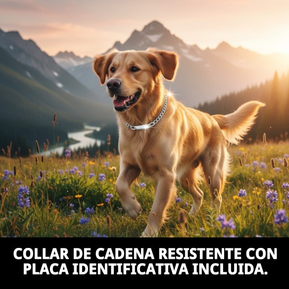 Collar Cadena con Placa 50cm x 3.5mm para Mascotas