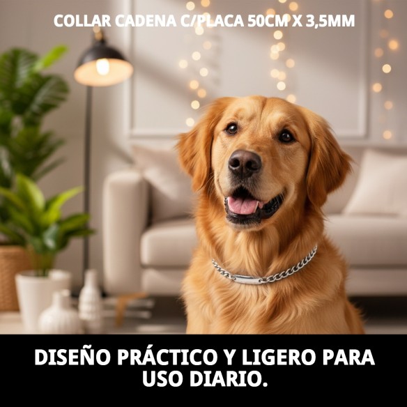 Collar Cadena con Placa 50cm x 3.5mm para Mascotas