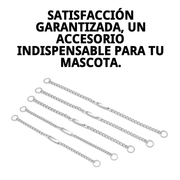 Collar Cadena con Placa 50cm x 3.5mm para Mascotas