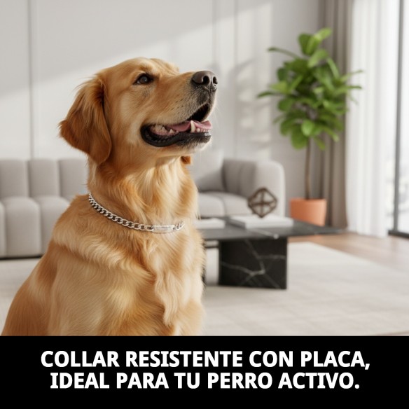Collar Cadena con Placa 55cm - Resistencia y Estilo para Tu Mascota