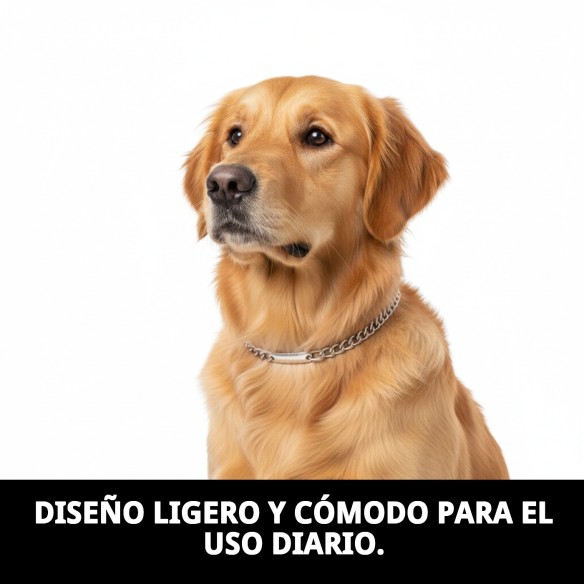Collar Cadena con Placa 55cm - Resistencia y Estilo para Tu Mascota