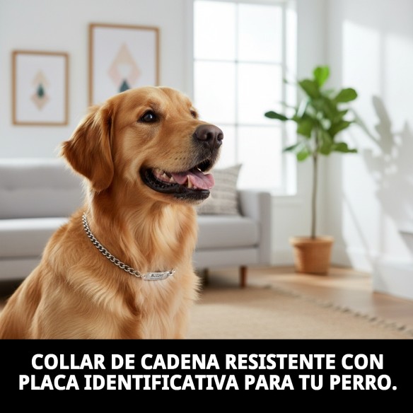 Collar Cadena con Placa 60cm - Estilo y Seguridad para tu Mascota