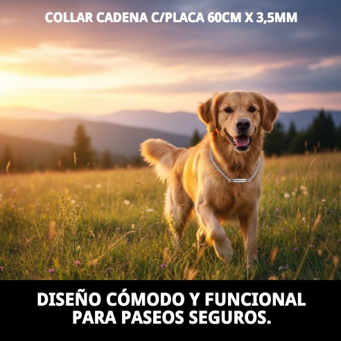 Collar Cadena con Placa 60cm - Estilo y Seguridad para tu Mascota
