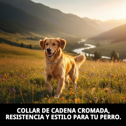 Collar Cadena Cromada 55cm x 3,5mm para Mascotas