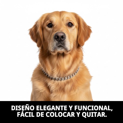 Collar Cadena Cromada 55cm x 3,5mm para Mascotas