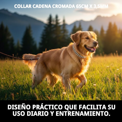 Collar Cadena Cromada 65cm - Resistencia y Estilo para Mascotas