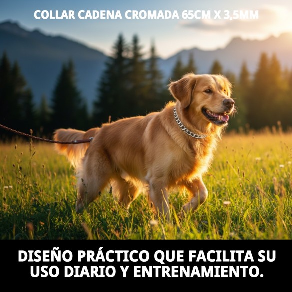 Collar Cadena Cromada 65cm - Resistencia y Estilo para Mascotas