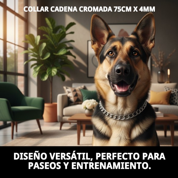 Collar de Cadena Cromada para Perro 75cm x 4mm