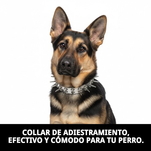 Collar de Adiestramiento 3,2mm: Control y Comodidad Para Tu Mascota