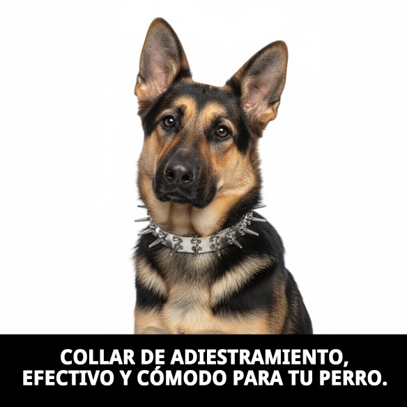 Collar de Adiestramiento 3,2mm: Control y Comodidad Para Tu Mascota