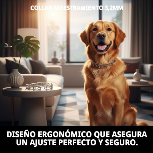 Collar de Adiestramiento 3,2mm: Control y Comodidad Para Tu Mascota