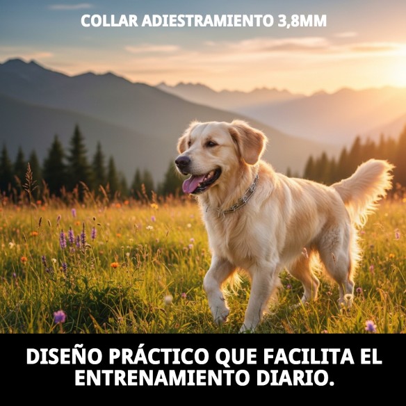 Collar Adiestramiento 3,8mm - Eficaz y Cómodo para tu Mascota