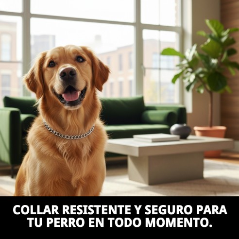 Collar Estran Cadena 35cm x 2mm para Mascotas Activas