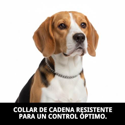 Collar Estran de Cadena para Perros - 40cm x 2mm