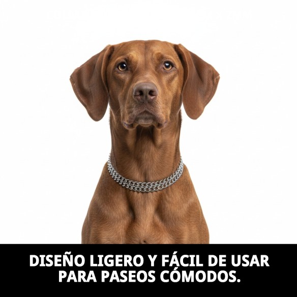 Collar Estran de Cadena para Perros - 40cm x 2mm