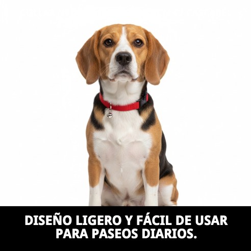 Collar de Nylon Liso con Cascabel para tu Mascota 23-35cm