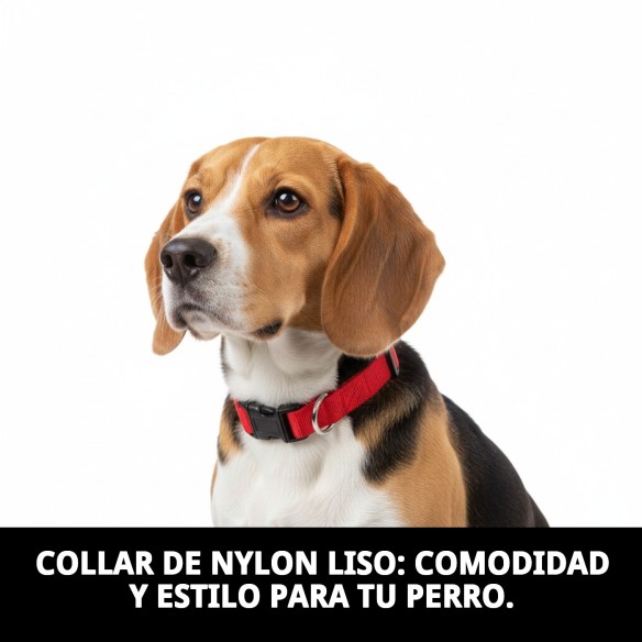 Collar de Nylon Liso Ajustable 25-40cm para Mascotas