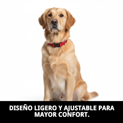 Collar de Nylon Liso Ajustable 25-40cm para Mascotas