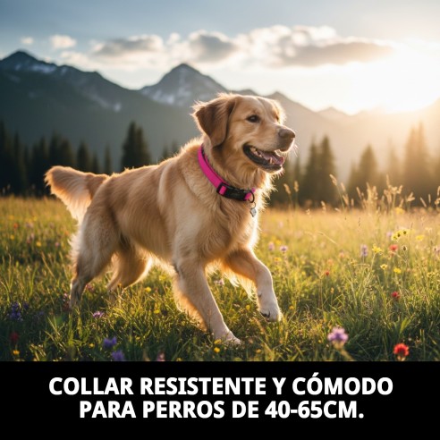 Collar Nylon Liso para Mascotas - Negro y Rosa 40-65cm