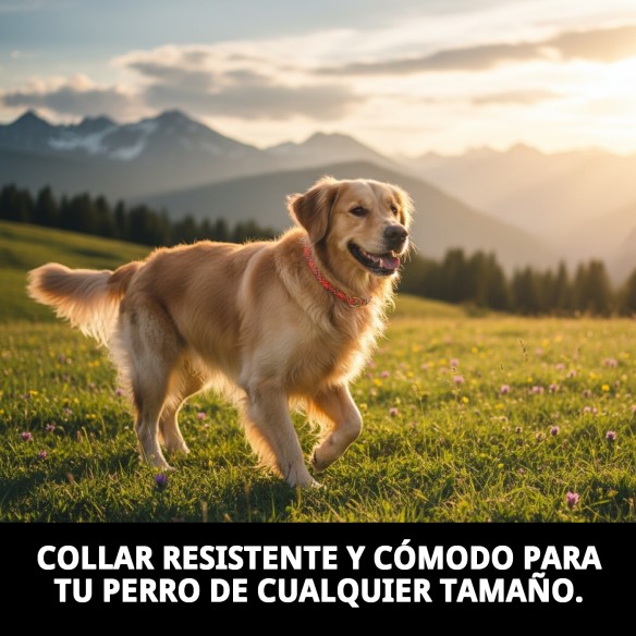 Collar de Nylon Redondo 35cm x 8mm - Comodidad y Estilo