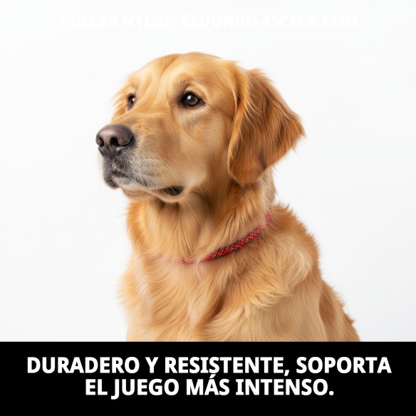 Collar de Nylon Redondo 45cm x 8mm para Mascotas