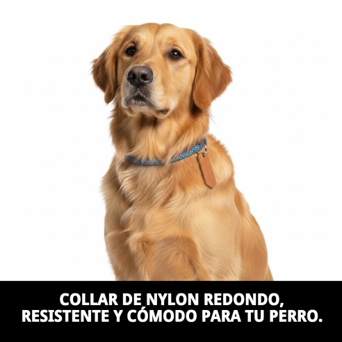 Collar Nylon Redondo 50cm X 13mm para Mascotas