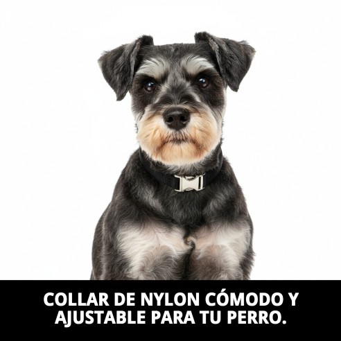 Collar de Nylon Confort para Perros - Comodidad Asegurada