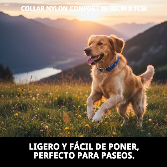 Collar de Nylon Confort para Perros - Comodidad Asegurada