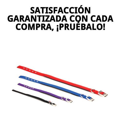 Collar de Nylon Confort para Perros - Comodidad Asegurada