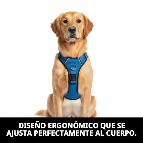 Arnés Nylon Confort 1cm: Comodidad y Estilo para tu Perro
