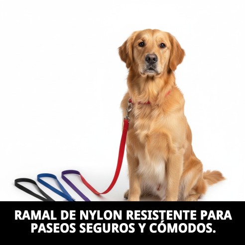 Ramal de Nylon Liso 120cm x 1.5cm para Mascotas