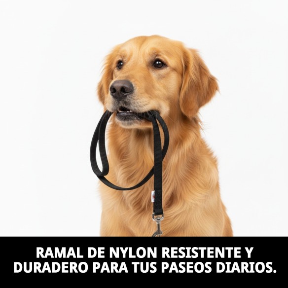 Ramal Liso de Nylon 60cm x 2,5cm para Mascotas