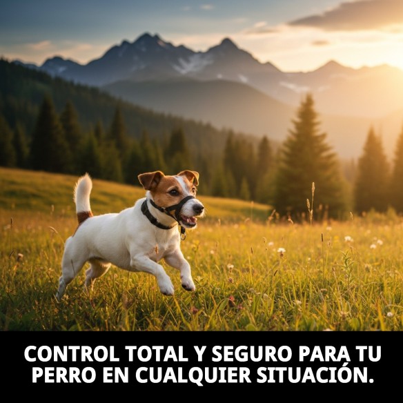 Collar Dog Control N.1 24cm: Adiestramiento Efectivo