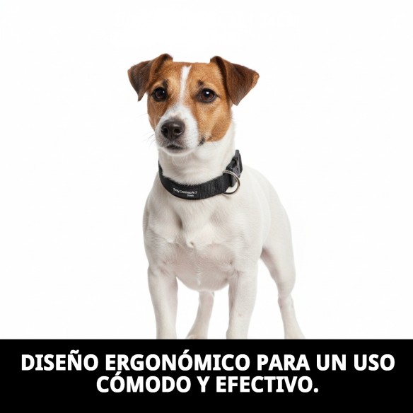 Collar Dog Control N.1 24cm: Adiestramiento Efectivo