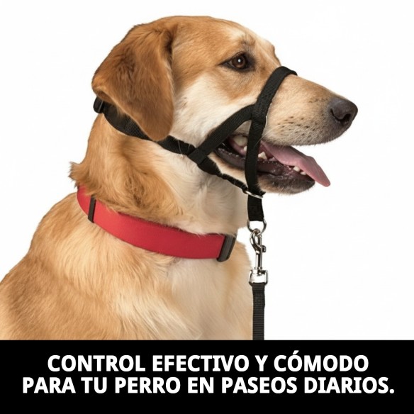 Collar de adiestramiento para perros Dog Control N.4 38cm