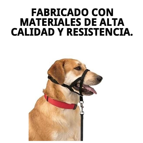 Collar de adiestramiento para perros Dog Control N.4 38cm