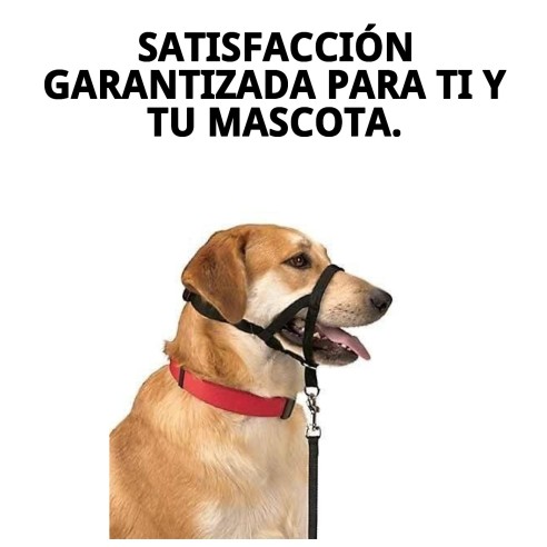 Collar de adiestramiento para perros Dog Control N.4 38cm