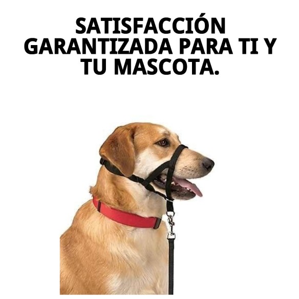 Collar de adiestramiento para perros Dog Control N.4 38cm
