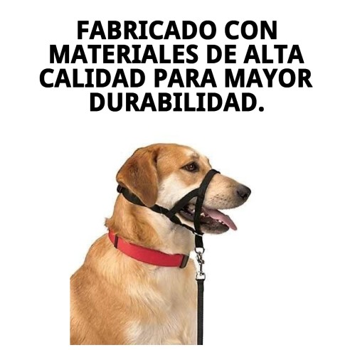 Collar Dog Control N.5: Adiestra y controla a tu perro
