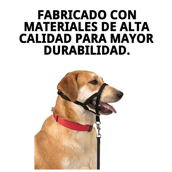 Collar Dog Control N.5: Adiestra y controla a tu perro