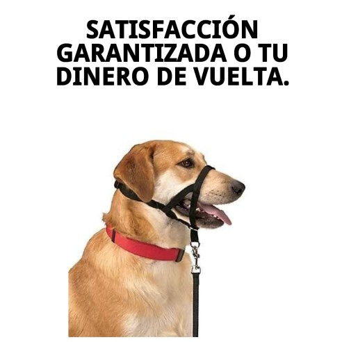 Collar Dog Control N.5: Adiestra y controla a tu perro