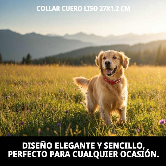 Collar de Cuero Liso 27x1.2 cm para Mascotas Elegantes