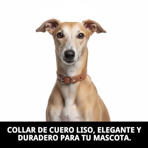 Collar de cuero liso 35x1.3 cm para perros elegantes